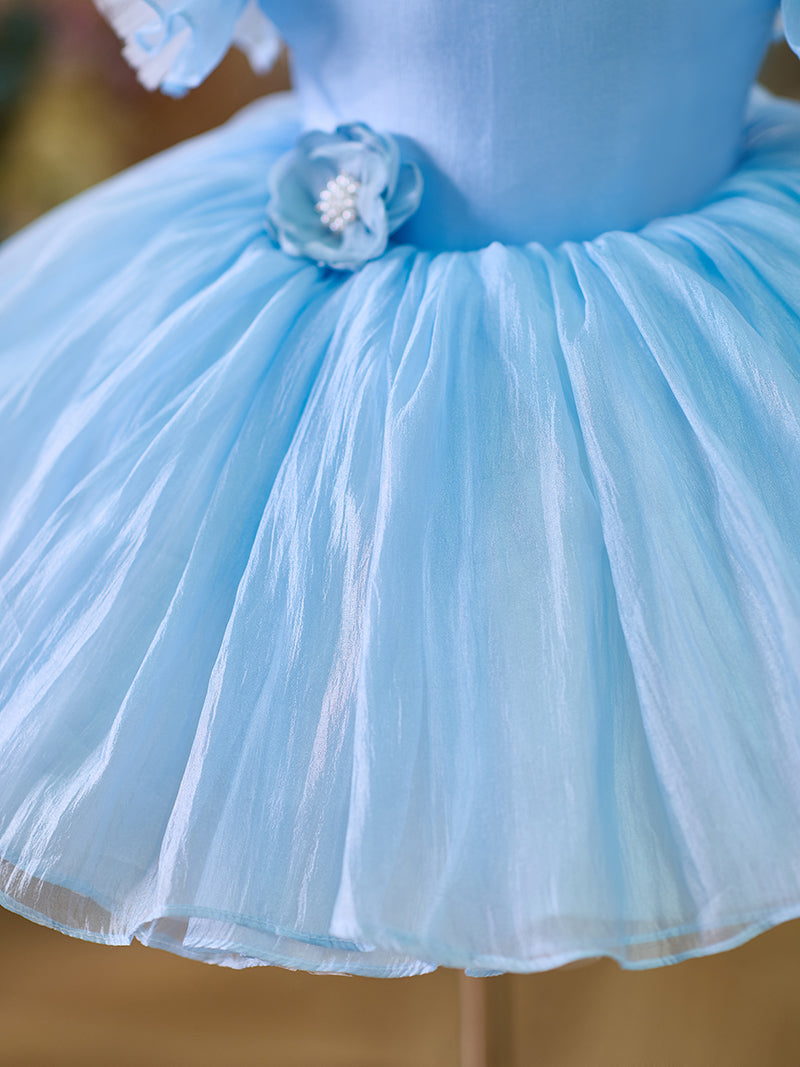 Organza Knee-length 1st Birthday Toddler Party Dress