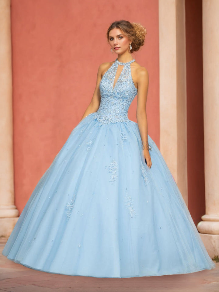 Ball Gown Hlater Sleeveless Floor-length Long Prom Dresses with Appliques