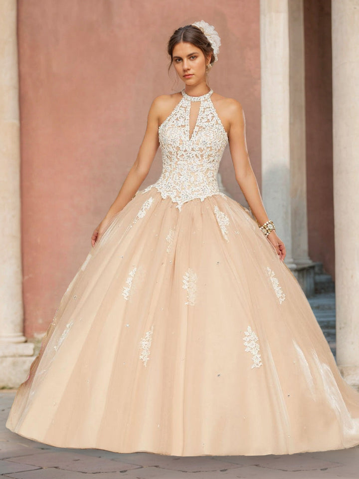 Ball Gown Hlater Sleeveless Floor-length Long Prom Dresses with Appliques
