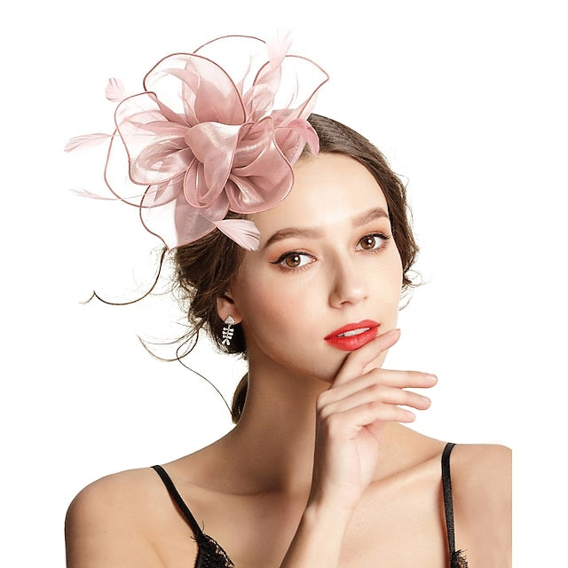 Fascinators Headpiece Tulle Tea Party Horse Race Ladies Day Elegant Retro With Feather