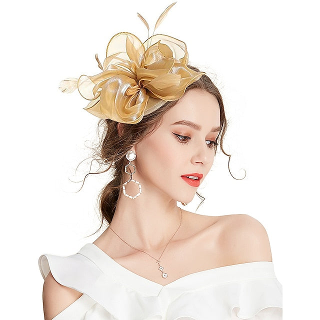 Fascinators Headpiece Tulle Tea Party Horse Race Ladies Day Elegant Retro With Feather