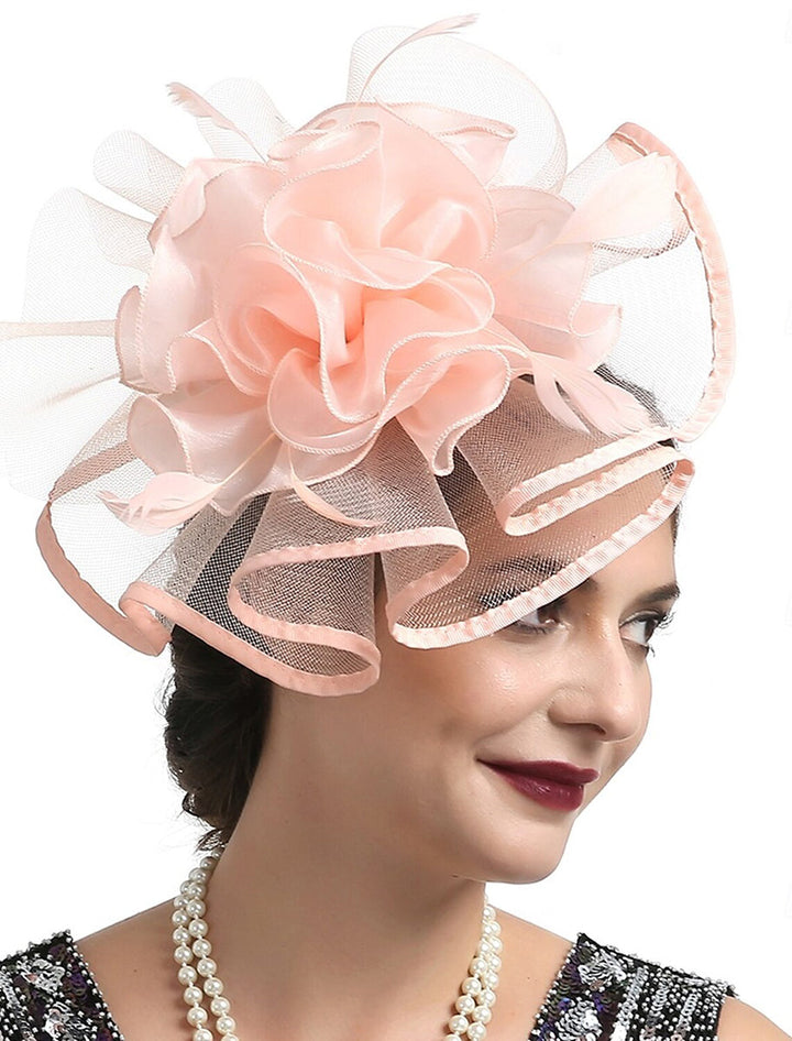 Retro Fascinator Tea Party Ladies Day Feather Minimalist Headpiece/Veil Hat