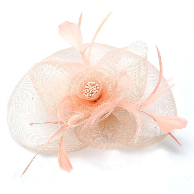 Women's Organza Fedora Hat Tea Party Horse Race Pure colour Headpiece/Veil Hat With Feather