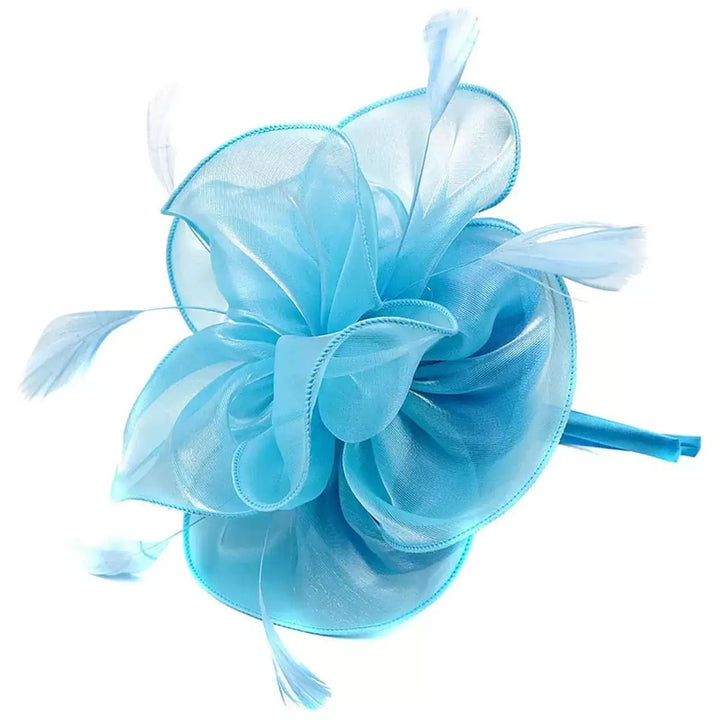 Fascinators Headpiece Tulle Tea Party Horse Race Ladies Day Elegant Retro With Feather
